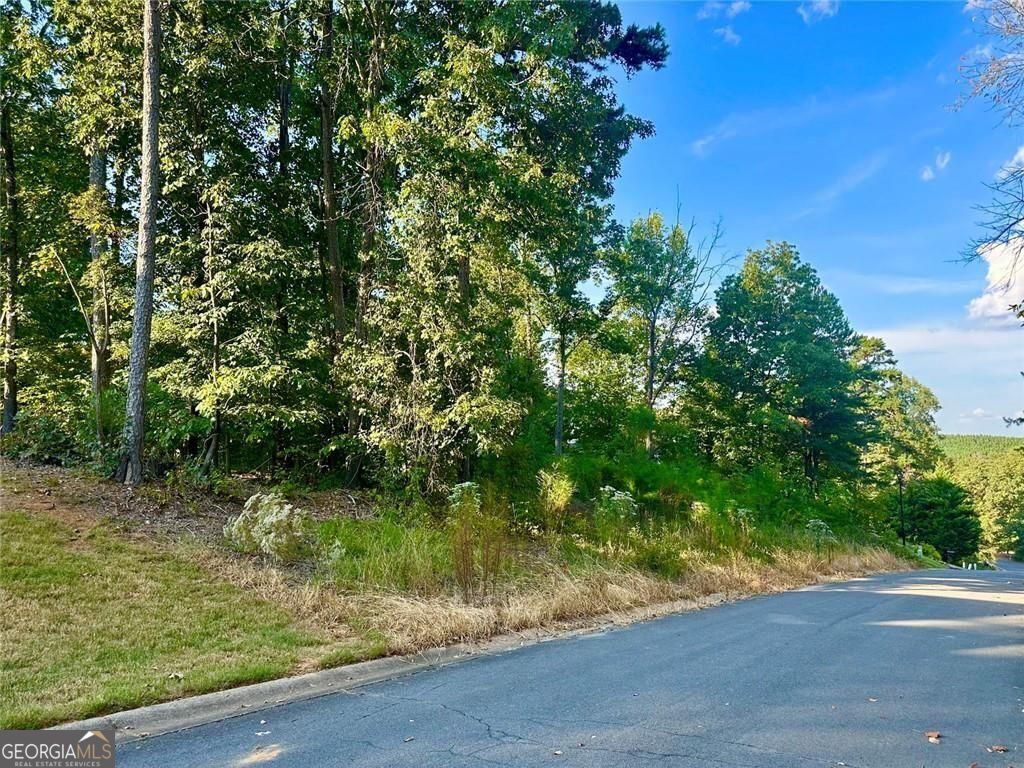 98 Magnolia Court Summerville GA 30747