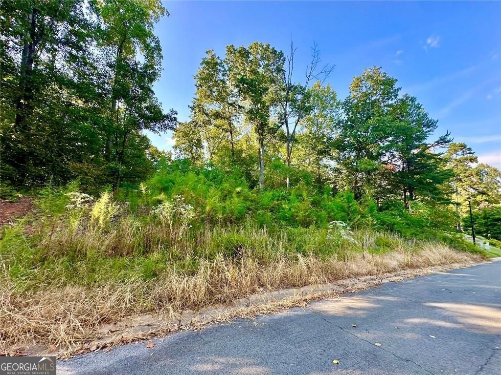 98 Magnolia Court Summerville GA 30747