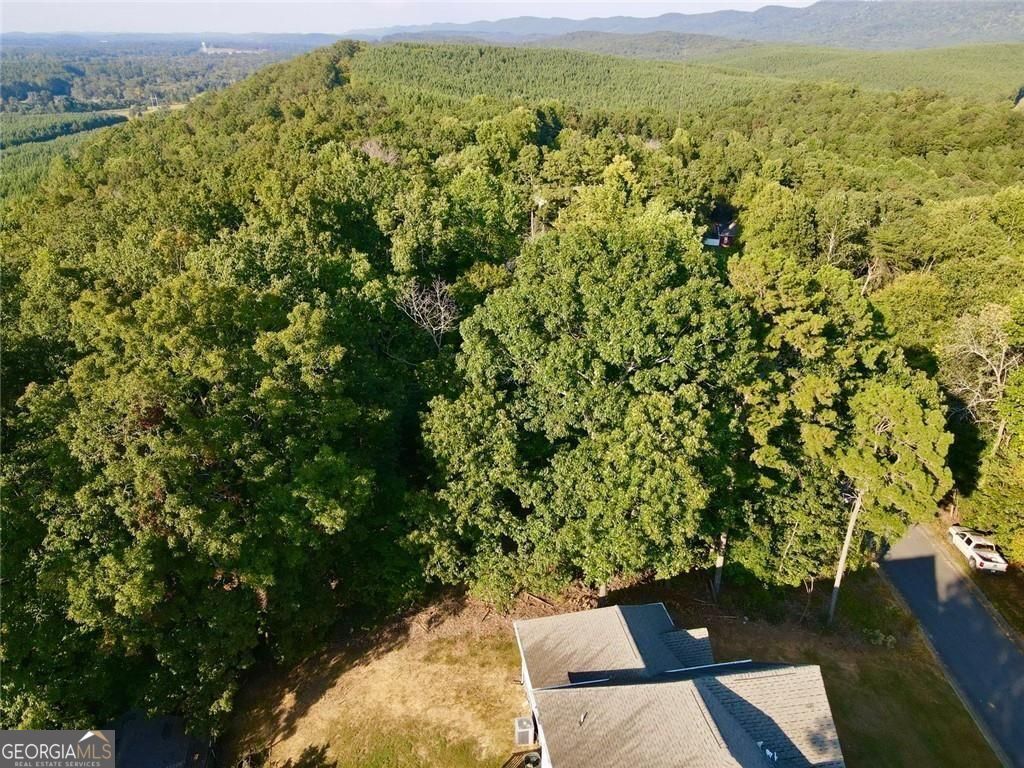 98 Magnolia Court Summerville GA 30747