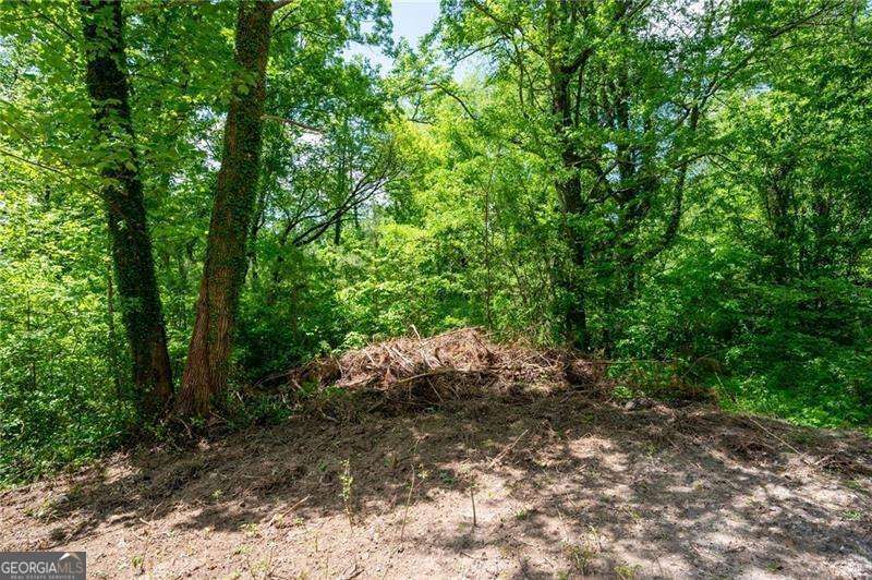 2471 52 Highway Chatsworth GA 30705