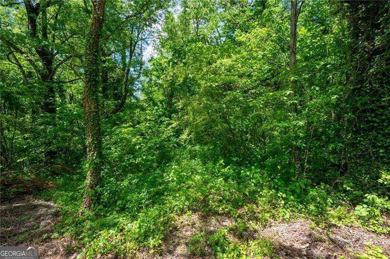 2471 52 Highway Chatsworth GA 30705