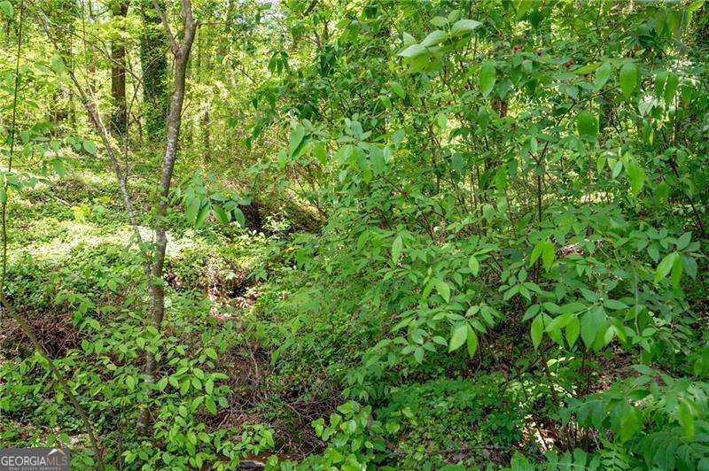 2471 52 Highway Chatsworth GA 30705