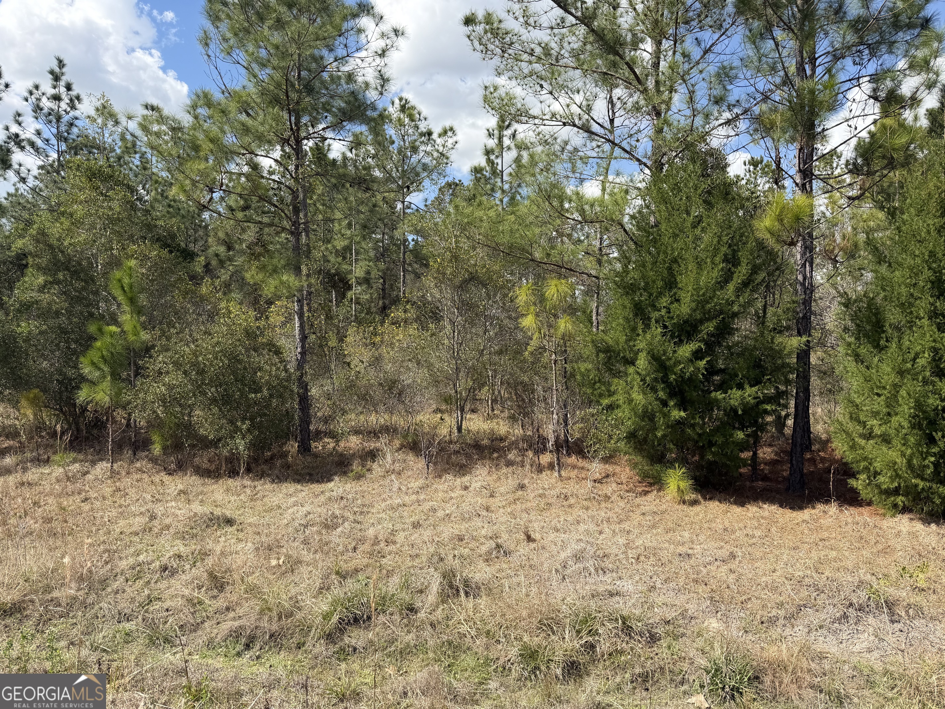 140 Josh And Scott Way Folkston GA 31537