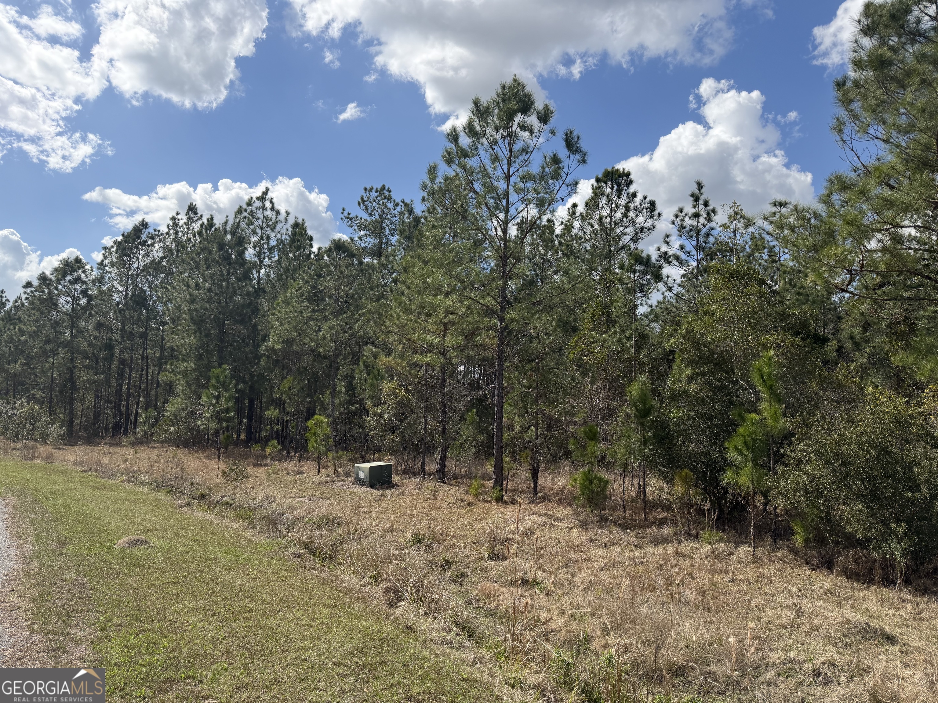 140 Josh And Scott Way Folkston GA 31537