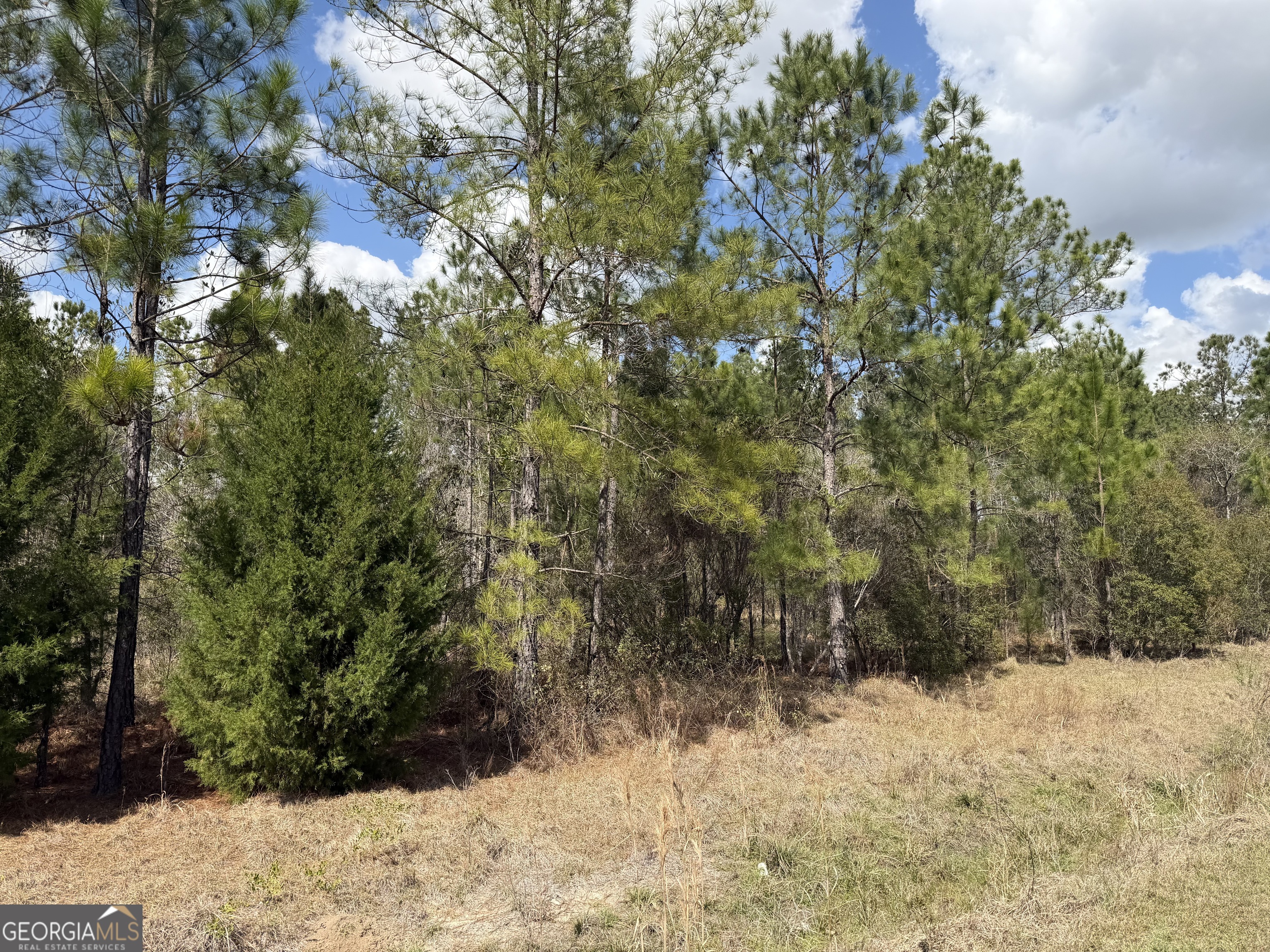 140 Josh And Scott Way Folkston GA 31537