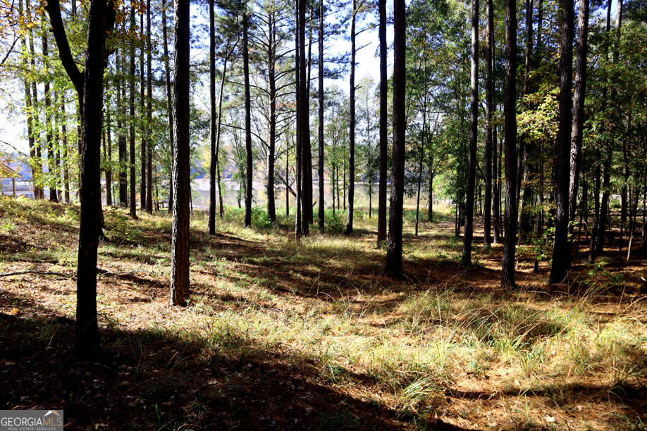 5234 Lake Crest Drive Sparta GA 31087