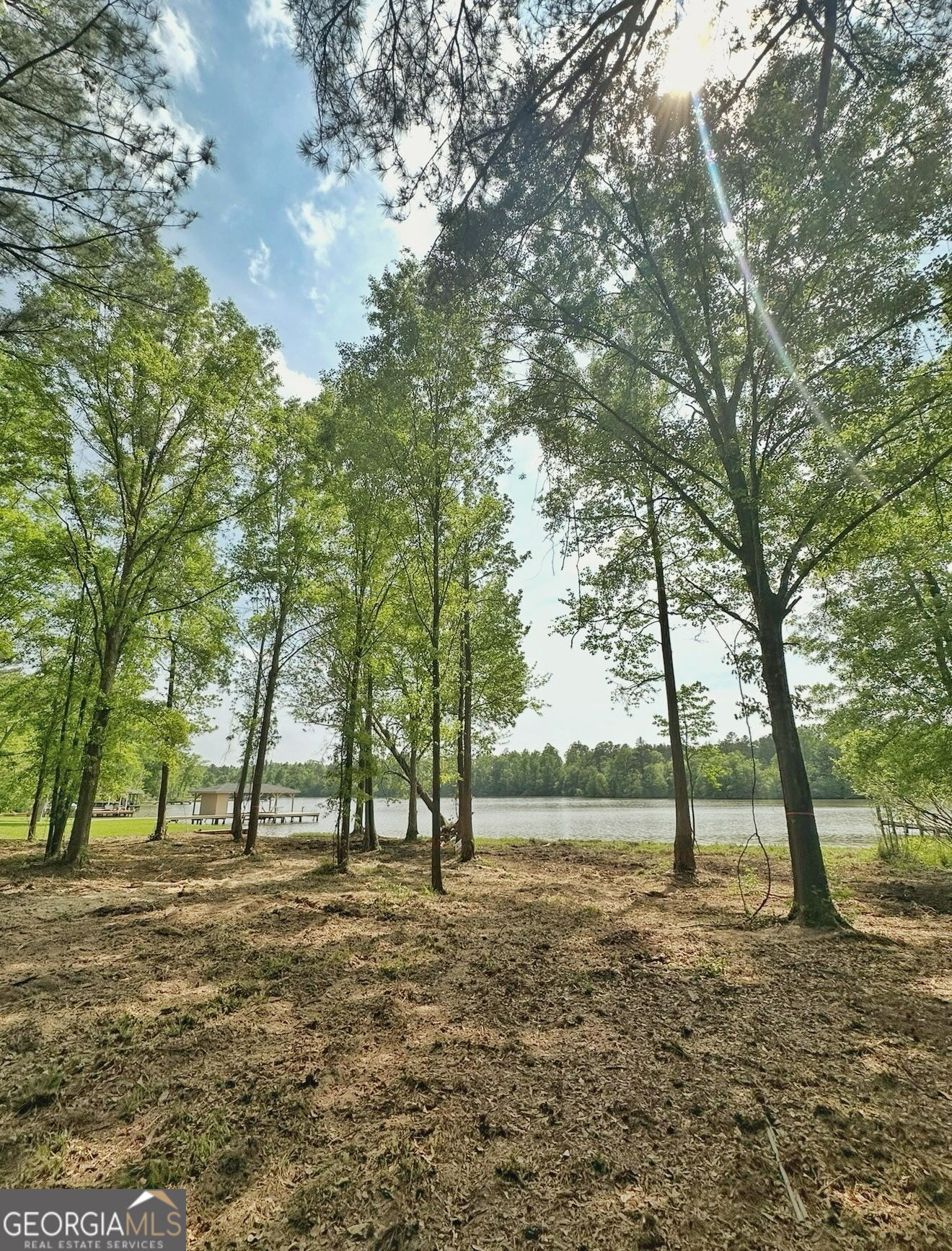 5234 Lake Crest Drive Sparta GA 31087