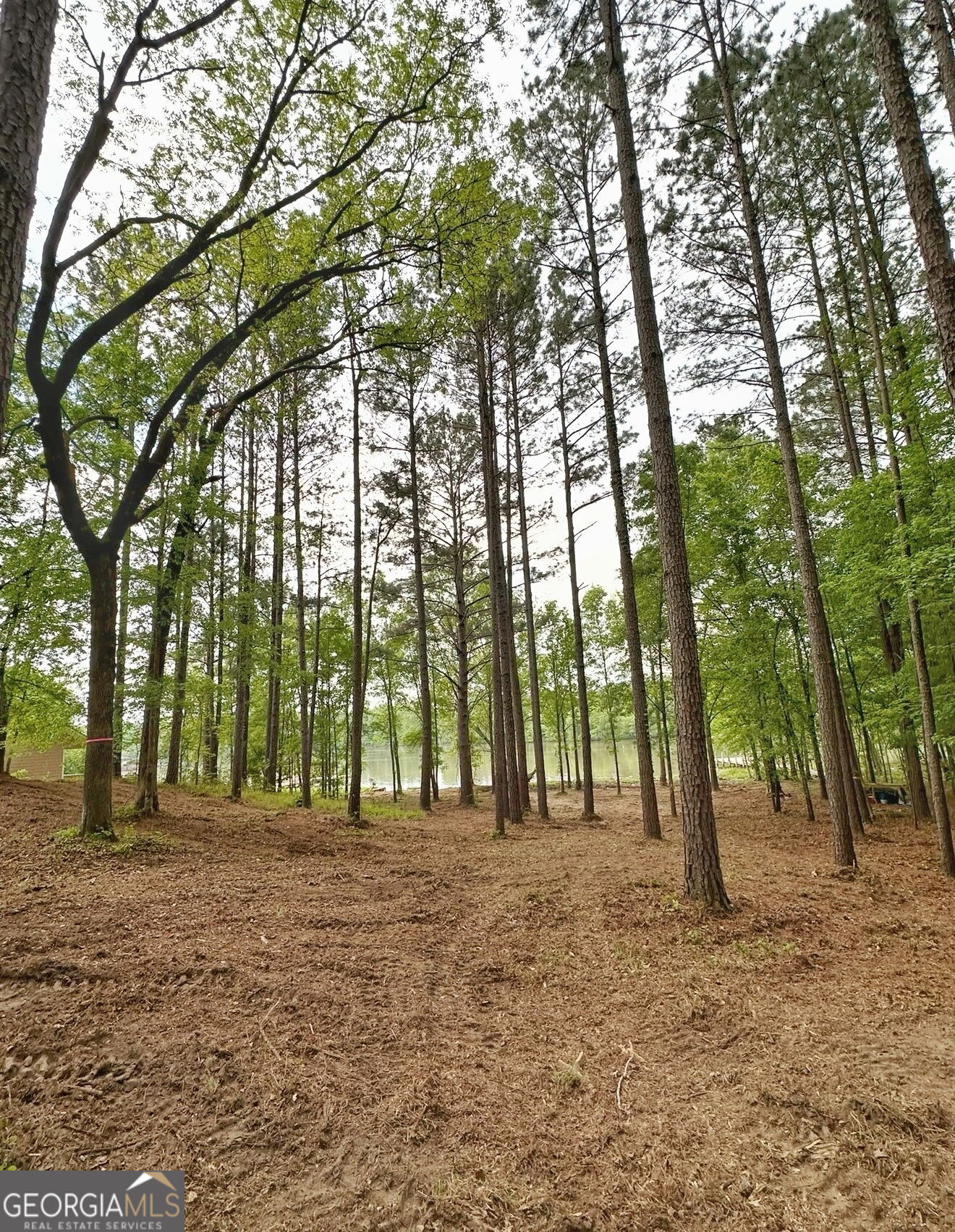 5234 Lake Crest Drive Sparta GA 31087
