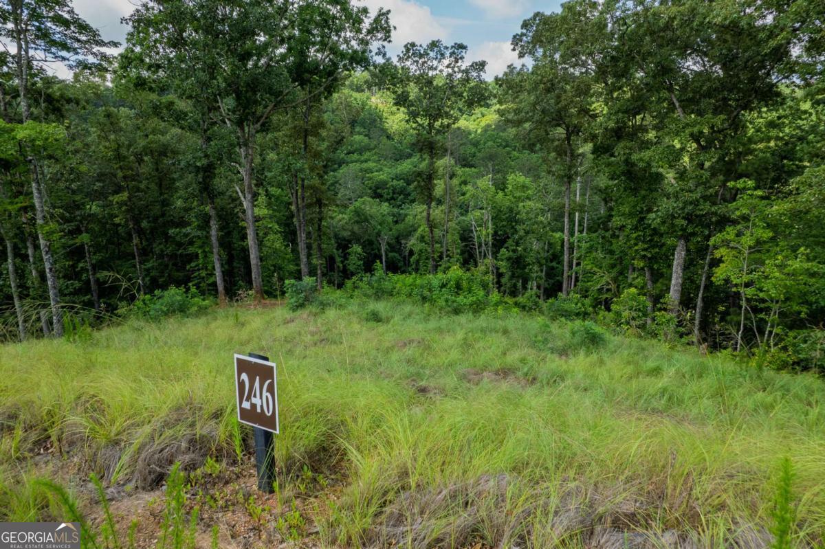 Lot 246 Spear Point Drive Talking Rock GA 30175