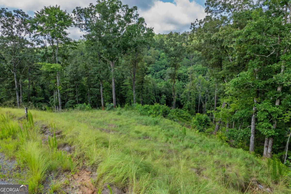 Lot 246 Spear Point Drive Talking Rock GA 30175