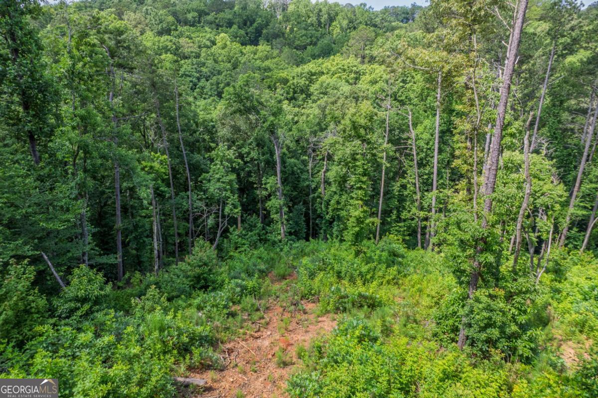 Lot 246 Spear Point Drive Talking Rock GA 30175