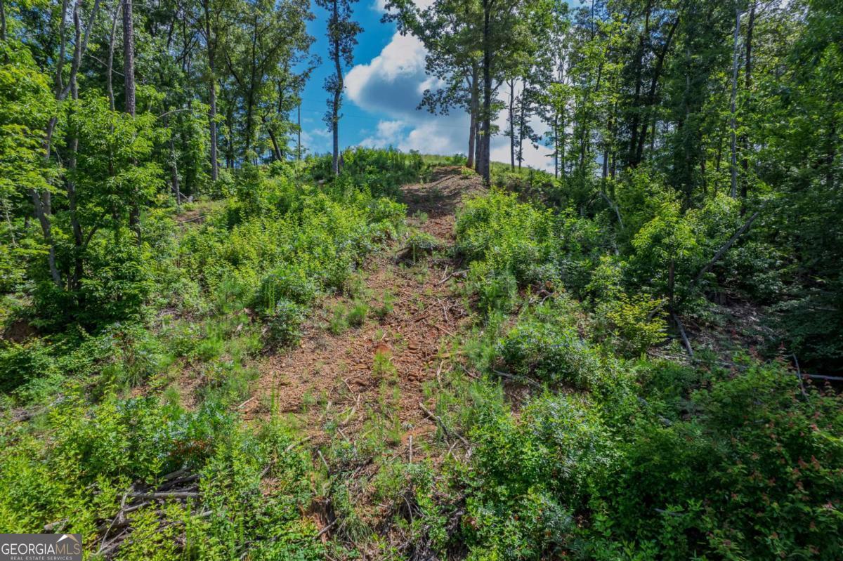 Lot 246 Spear Point Drive Talking Rock GA 30175