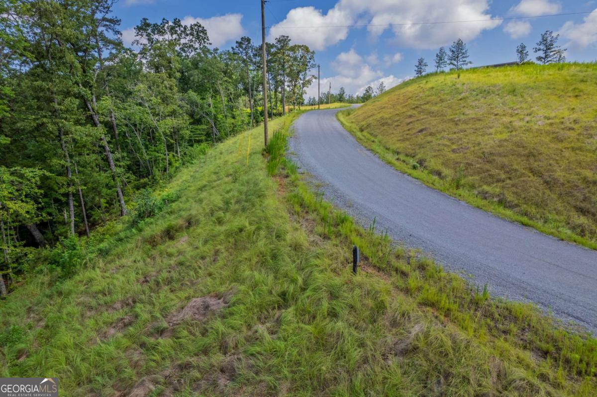 Lot 246 Spear Point Drive Talking Rock GA 30175