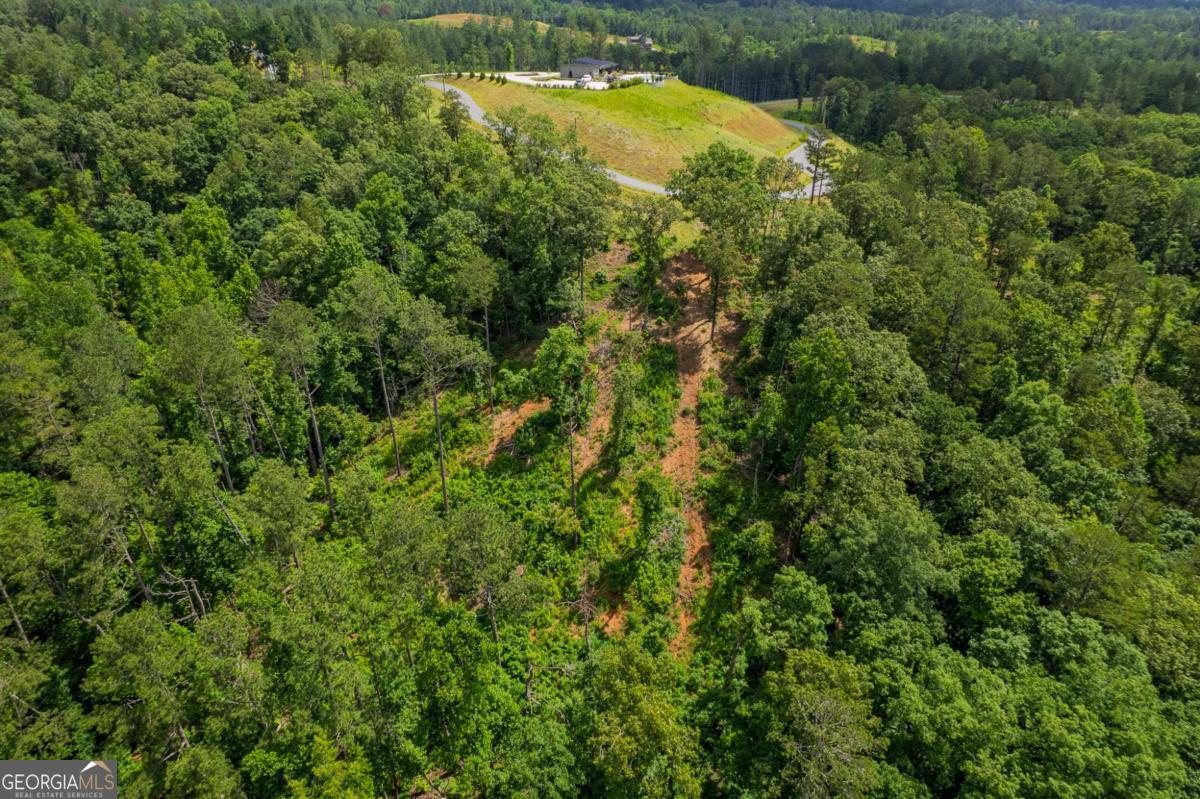 Lot 246 Spear Point Drive Talking Rock GA 30175
