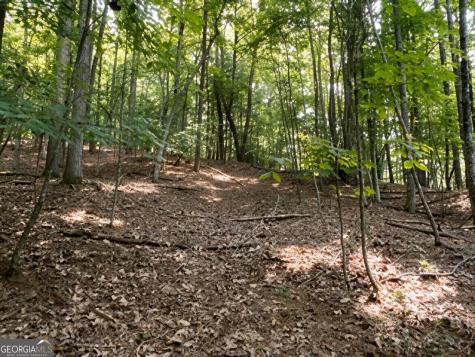 Lot 157 The Stables At Thirteen Hundred No Street Suffix Blairsville GA 30512