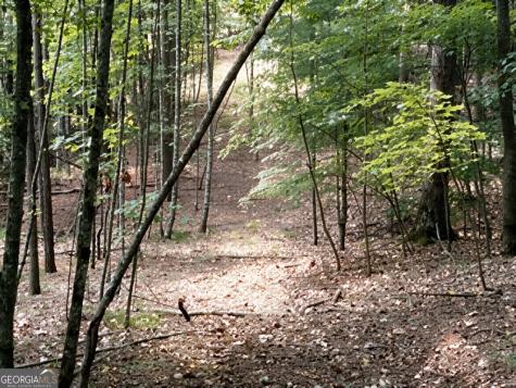 Lot 157 The Stables At Thirteen Hundred No Street Suffix Blairsville GA 30512