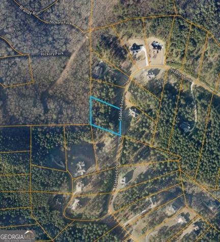 Lot 157 The Stables At Thirteen Hundred No Street Suffix Blairsville GA 30512