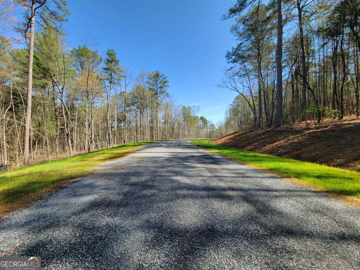 22 Mountaingate Way Ellijay GA 30536