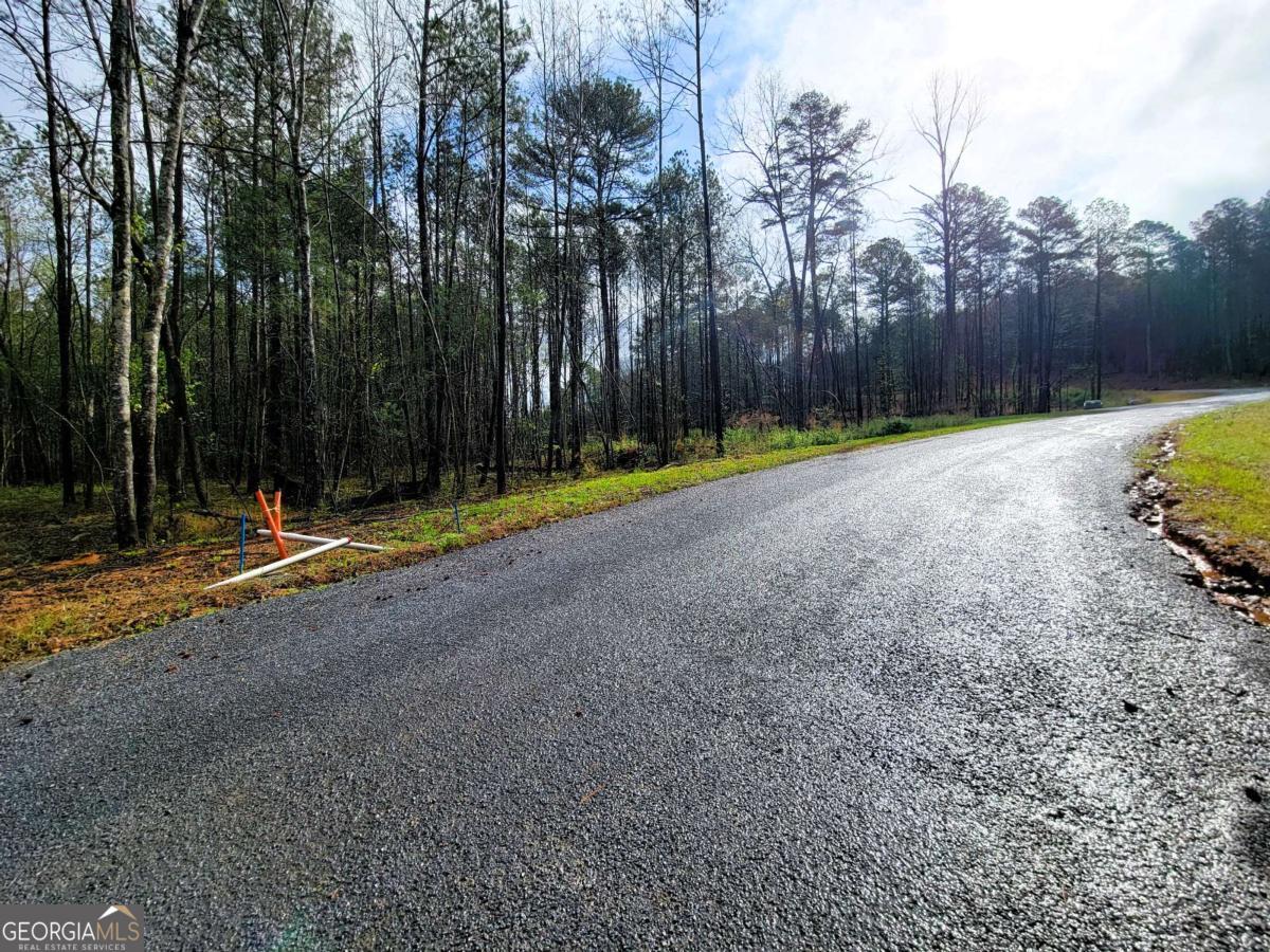 22 Mountaingate Way Ellijay GA 30536