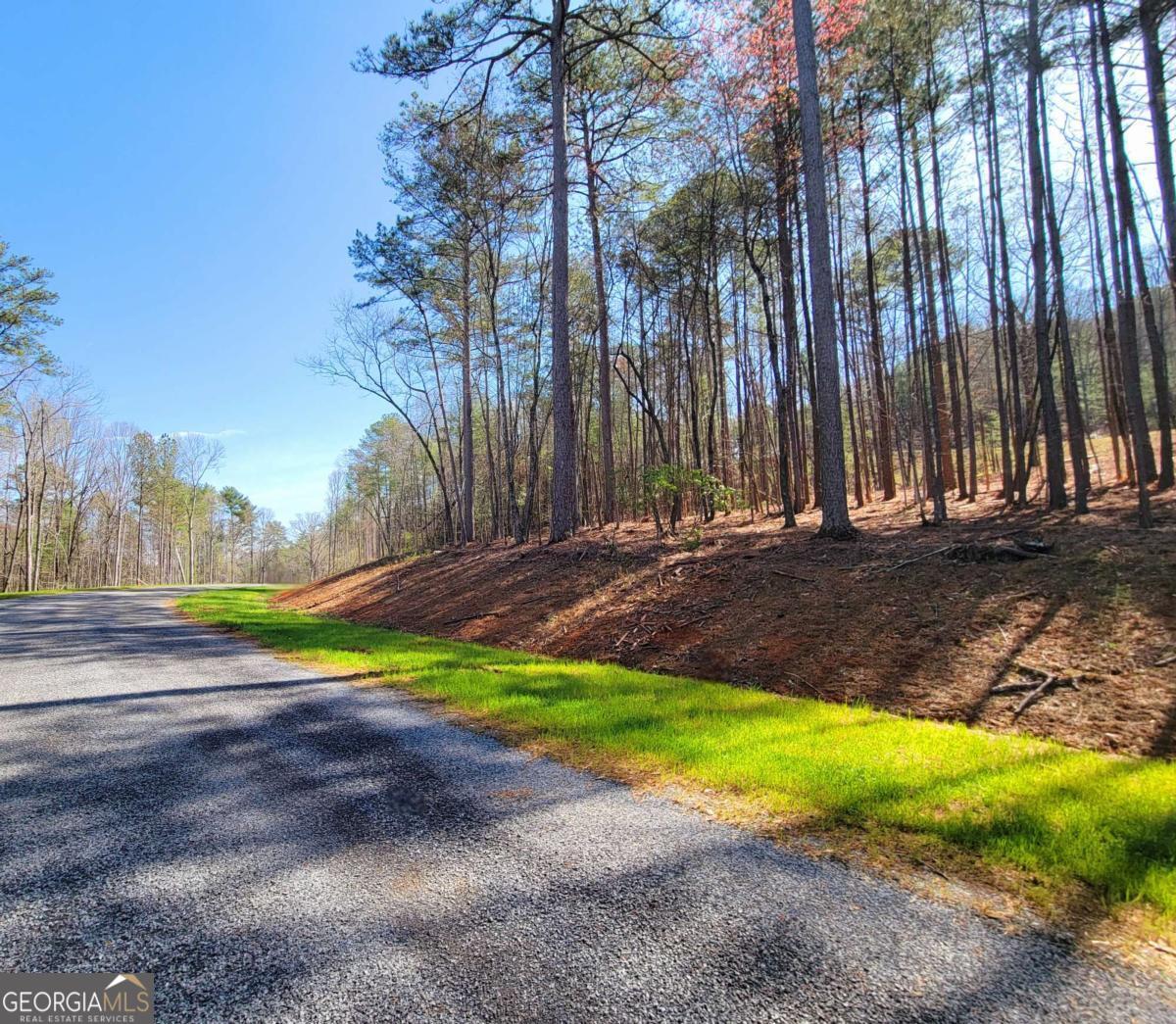 22 Mountaingate Way Ellijay GA 30536