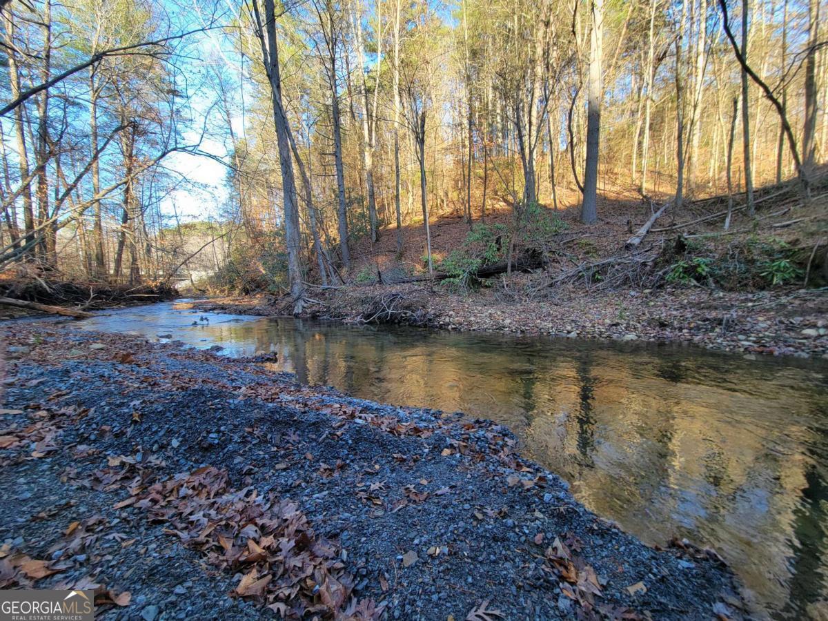 22 Mountaingate Way Ellijay GA 30536
