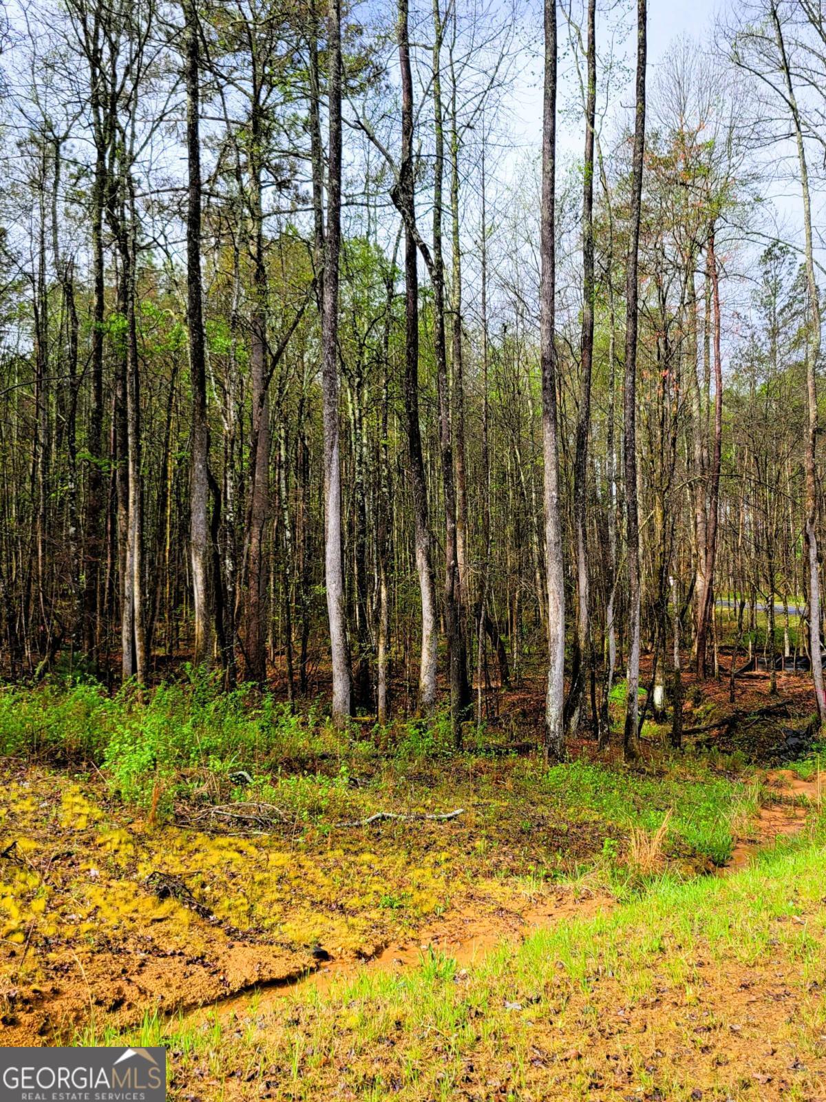 22 Mountaingate Way Ellijay GA 30536