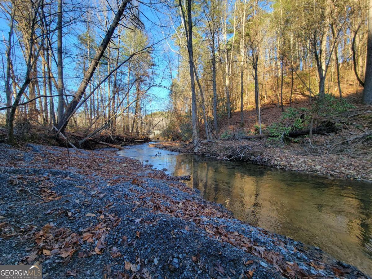 22 Mountaingate Way Ellijay GA 30536