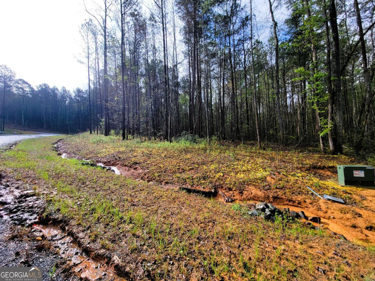 22 Mountaingate Way Ellijay GA 30536