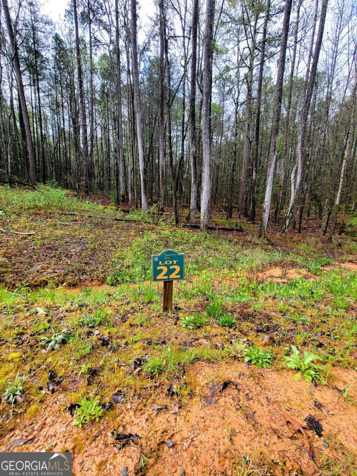 22 Mountaingate Way Ellijay GA 30536