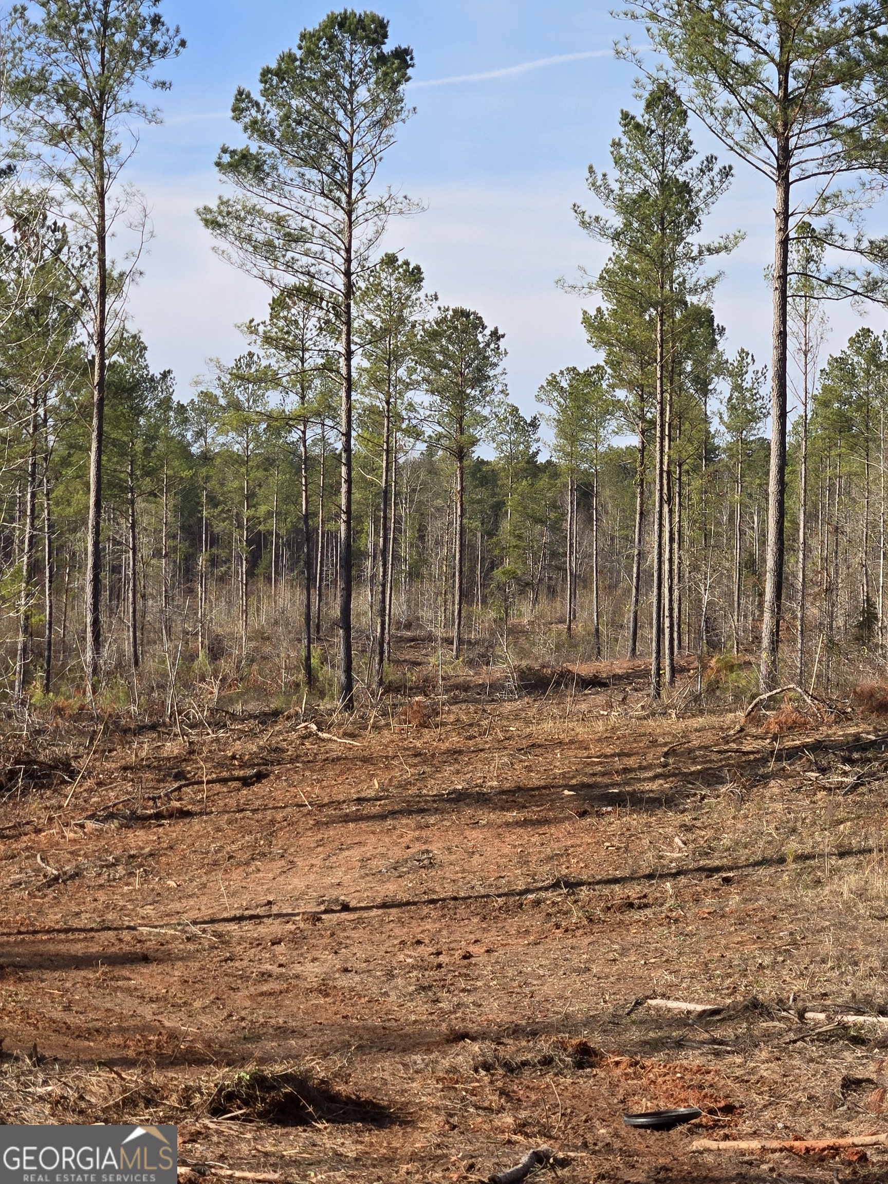 0 Martin Mill Road Eatonton GA 31024