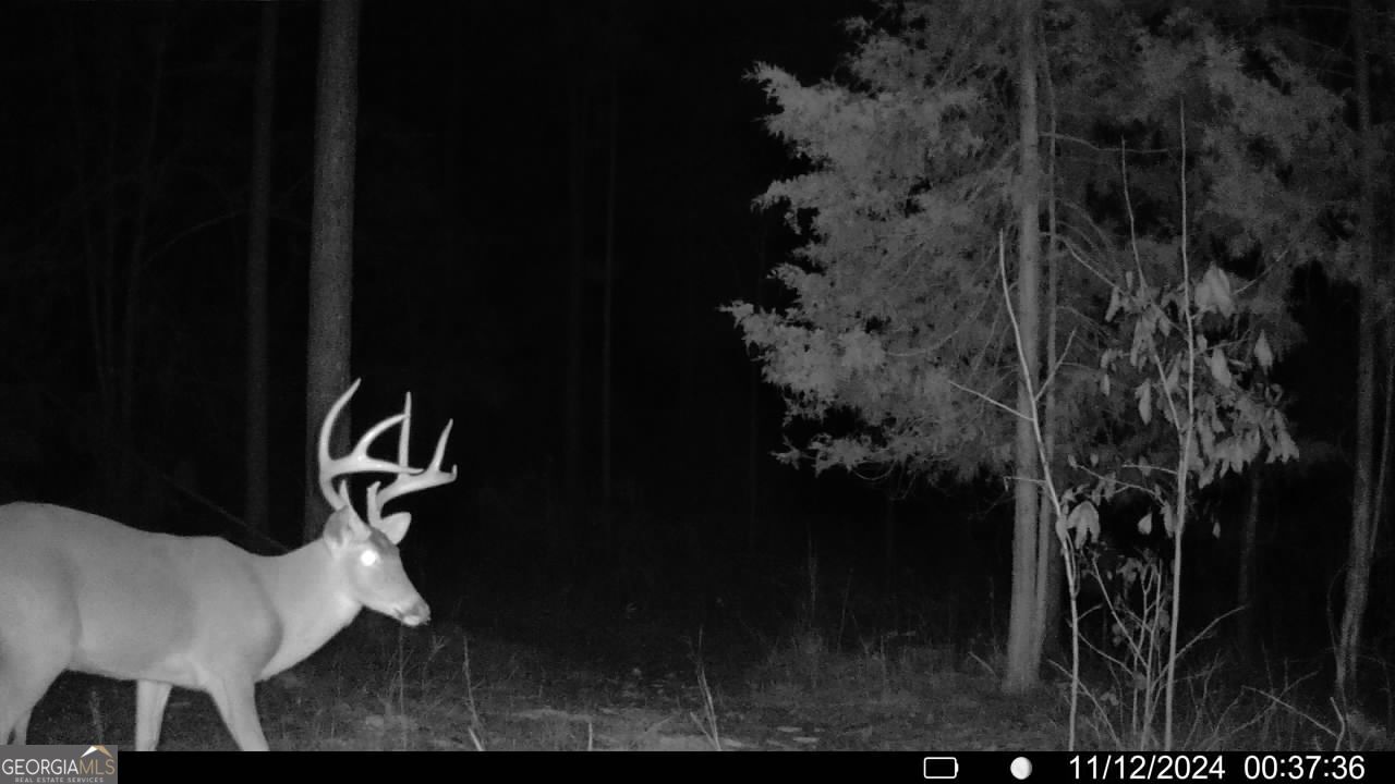 0 Martin Mill Road Eatonton GA 31024