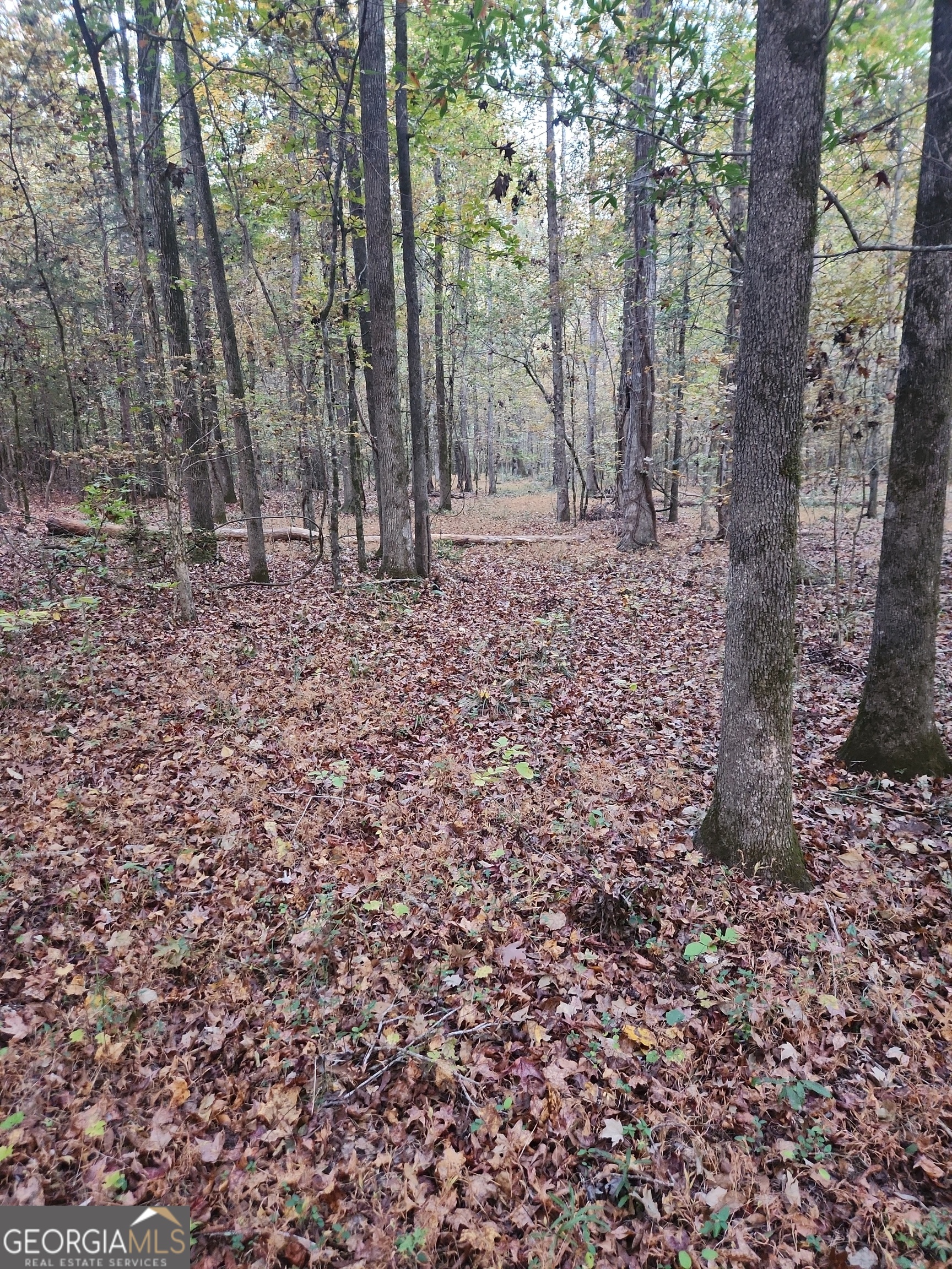0 Martin Mill Road Eatonton GA 31024