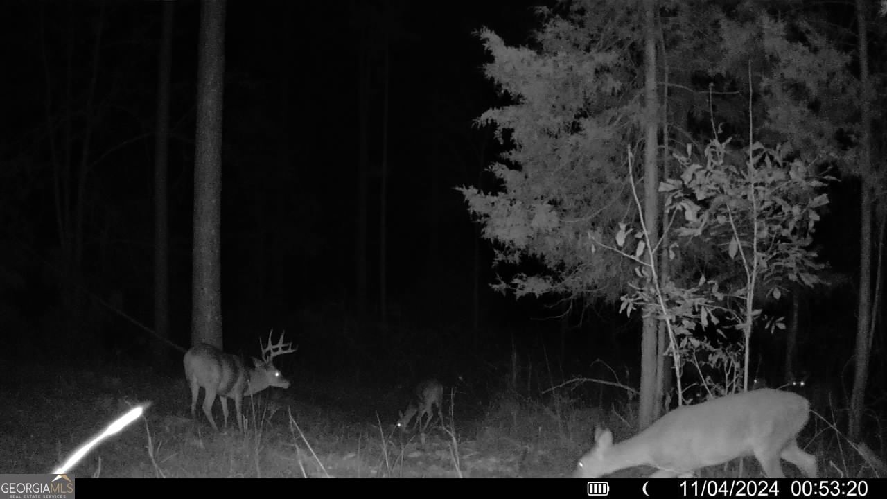 0 Martin Mill Road Eatonton GA 31024