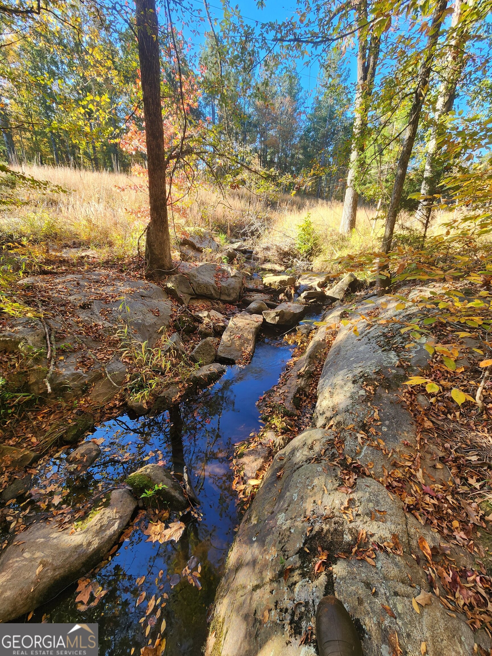 0 Martin Mill Road Eatonton GA 31024