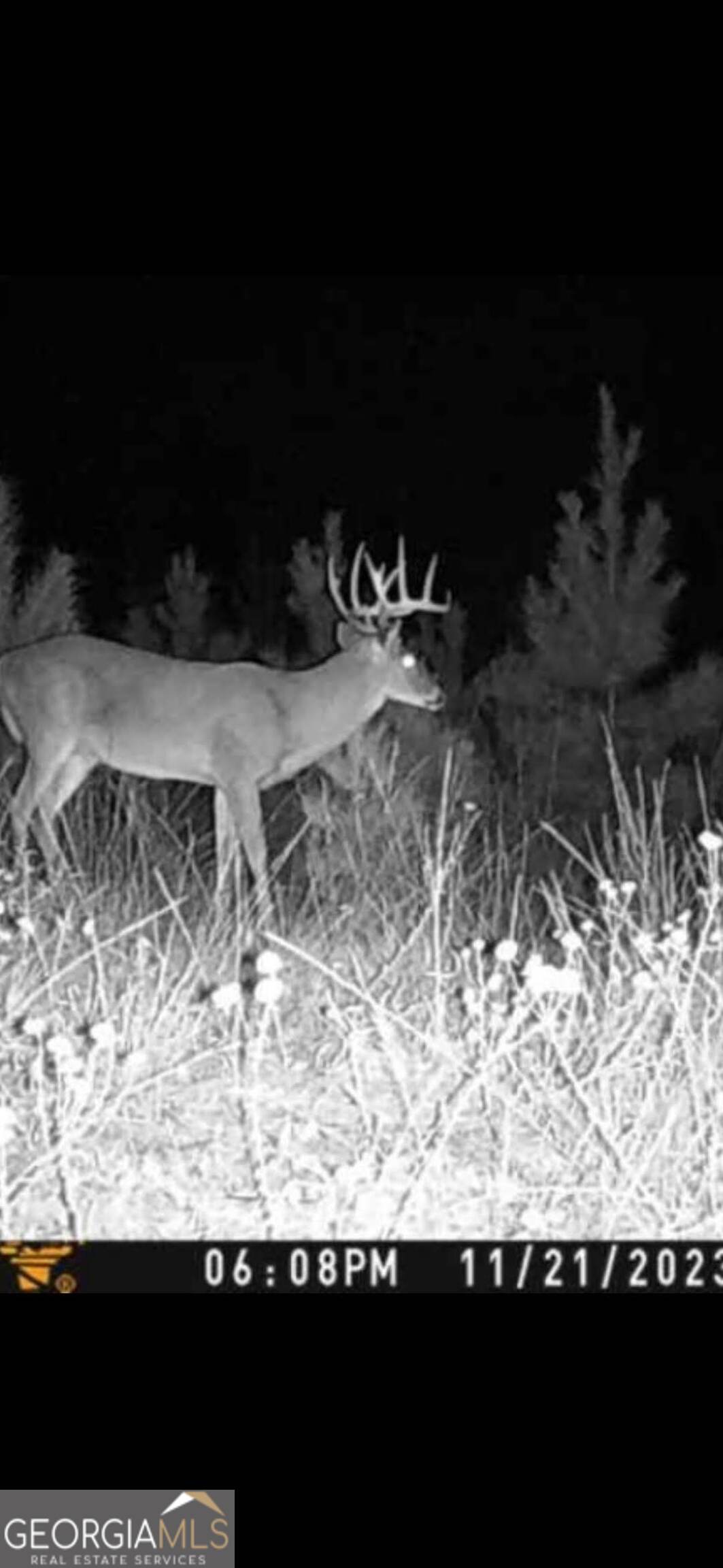 0 Martin Mill Road Eatonton GA 31024