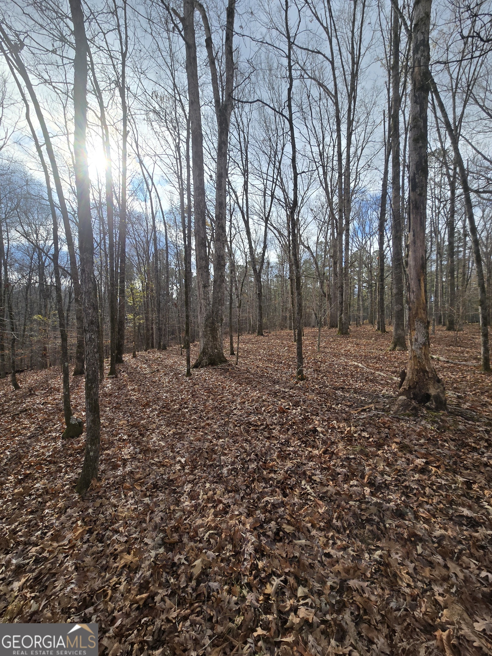 0 Martin Mill Road Eatonton GA 31024