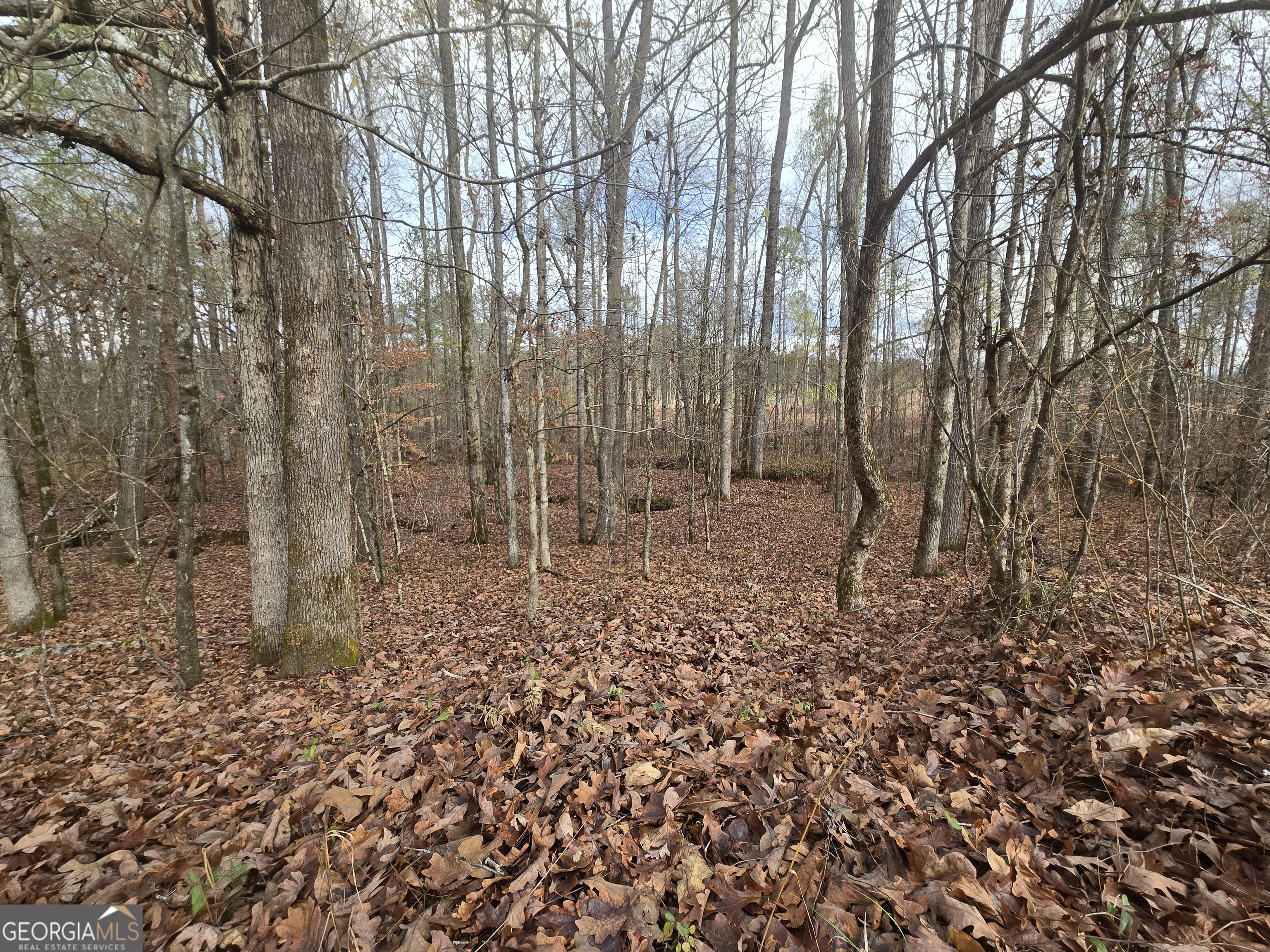 0 Martin Mill Road Eatonton GA 31024