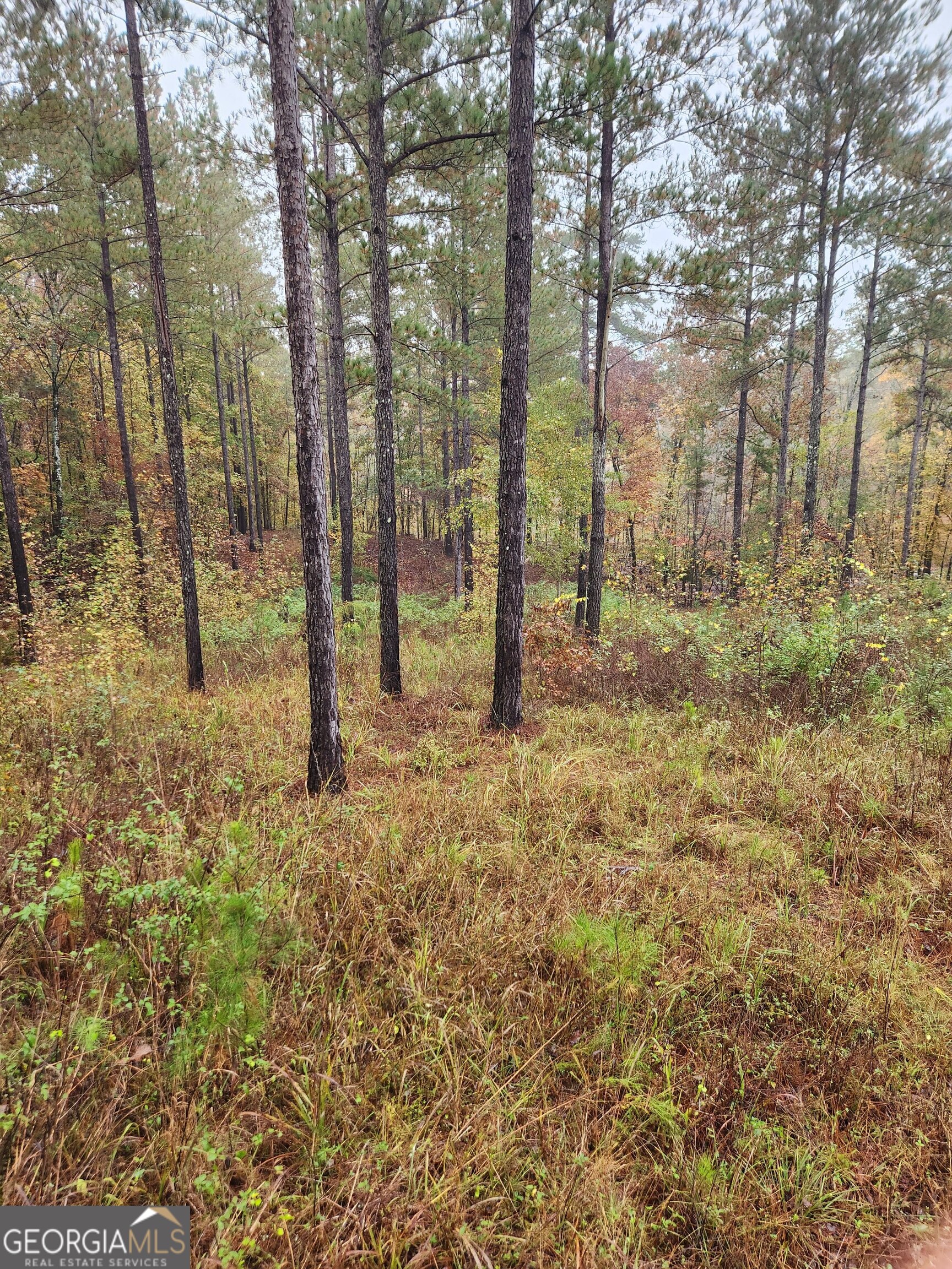 0 Martin Mill Road Eatonton GA 31024