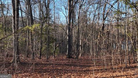 Tract 2 Antioch Church Road Cleveland GA 30528