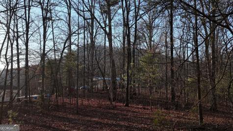 Tract 2 Antioch Church Road Cleveland GA 30528