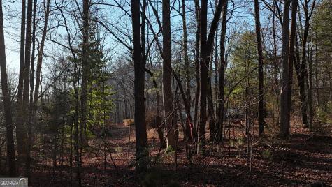 Tract 2 Antioch Church Road Cleveland GA 30528