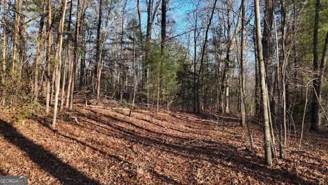 Tract 2 Antioch Church Road Cleveland GA 30528