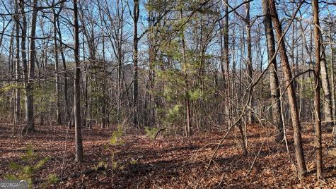 Tract 2 Antioch Church Road Cleveland GA 30528