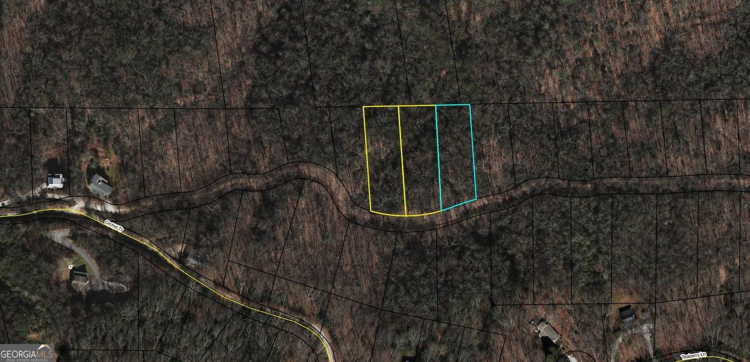 0 Orchid Lots 368,369,and 370 Clayton GA 30525