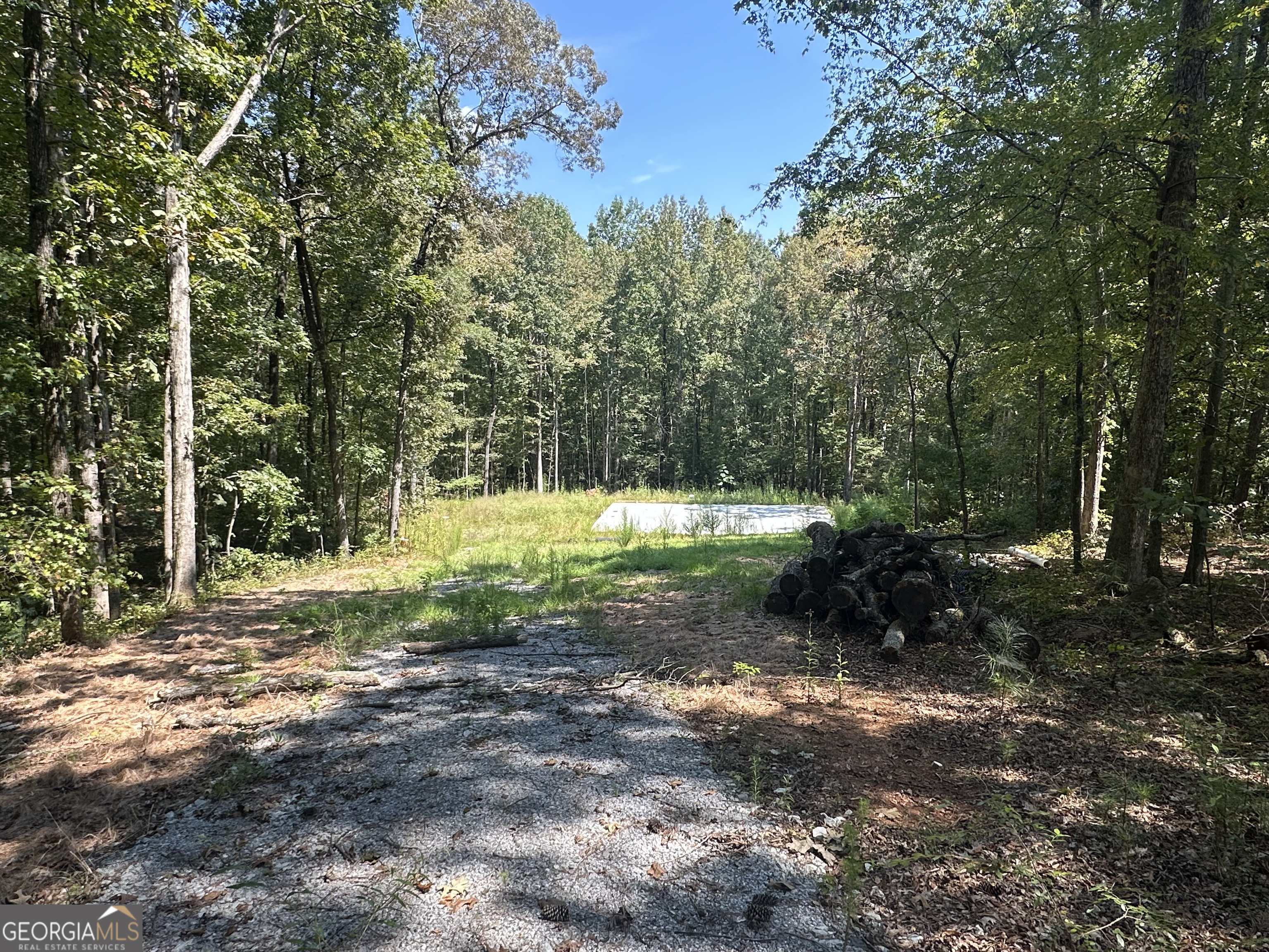 46 Creek Ridge Winterville GA 30683