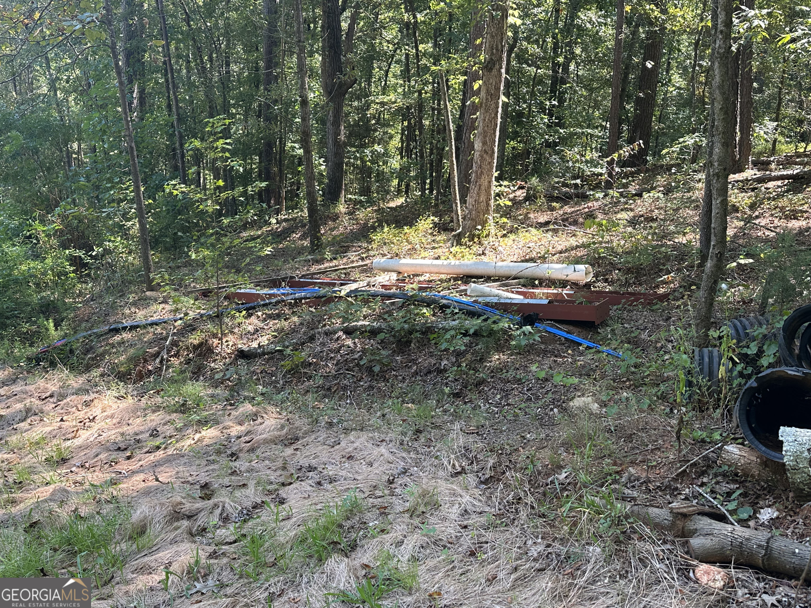 46 Creek Ridge Winterville GA 30683