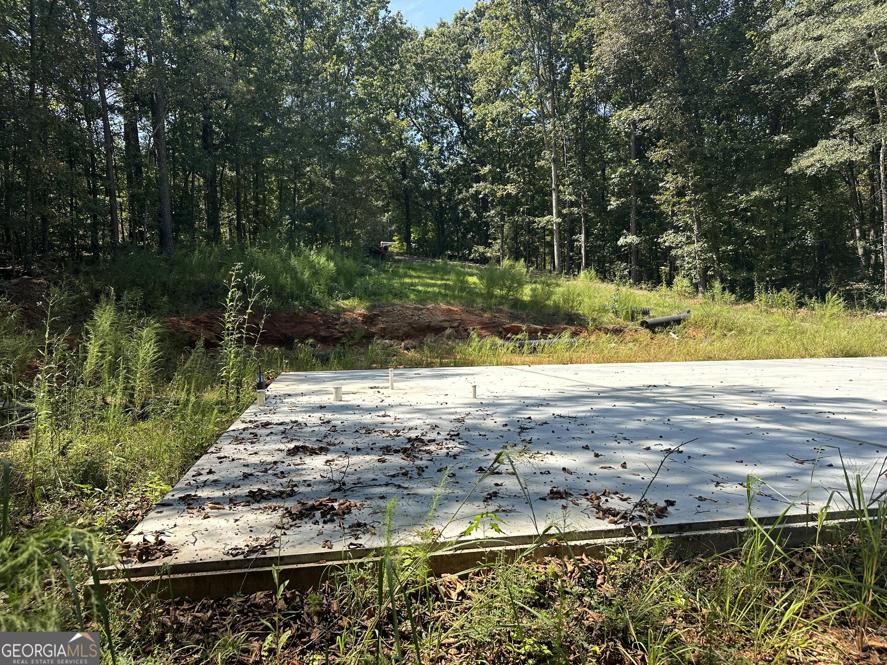 46 Creek Ridge Winterville GA 30683