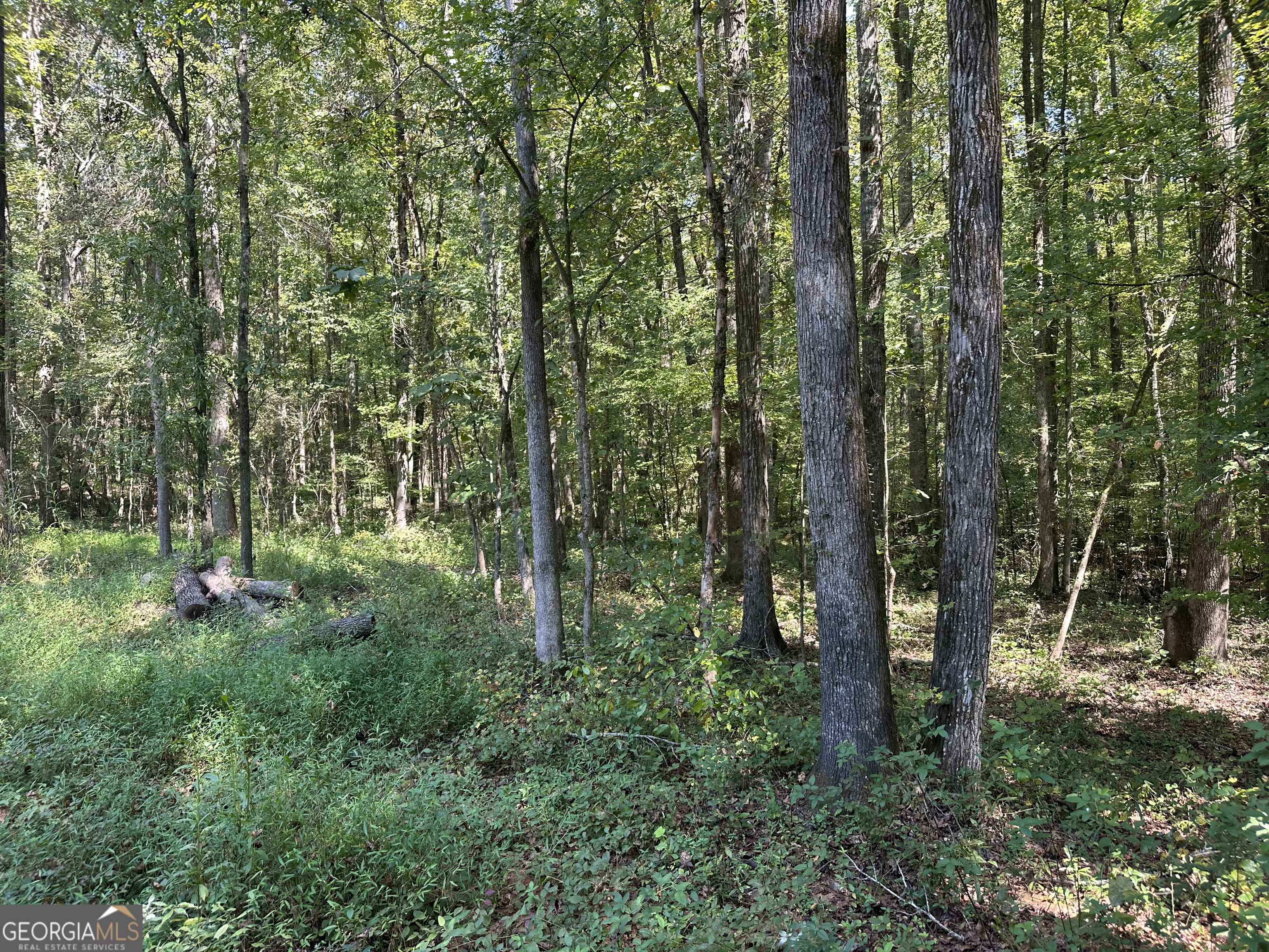 46 Creek Ridge Winterville GA 30683