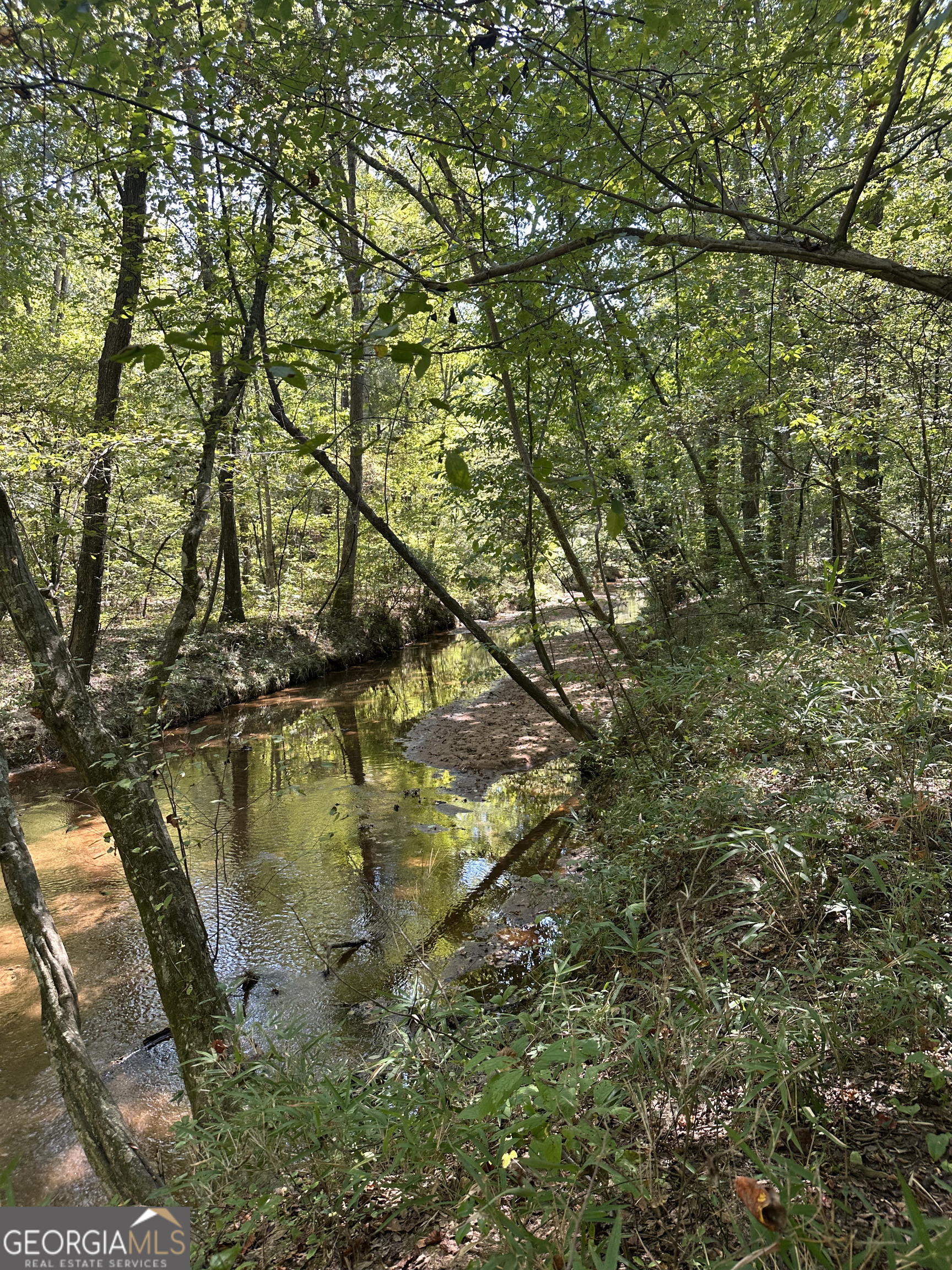 46 Creek Ridge Winterville GA 30683