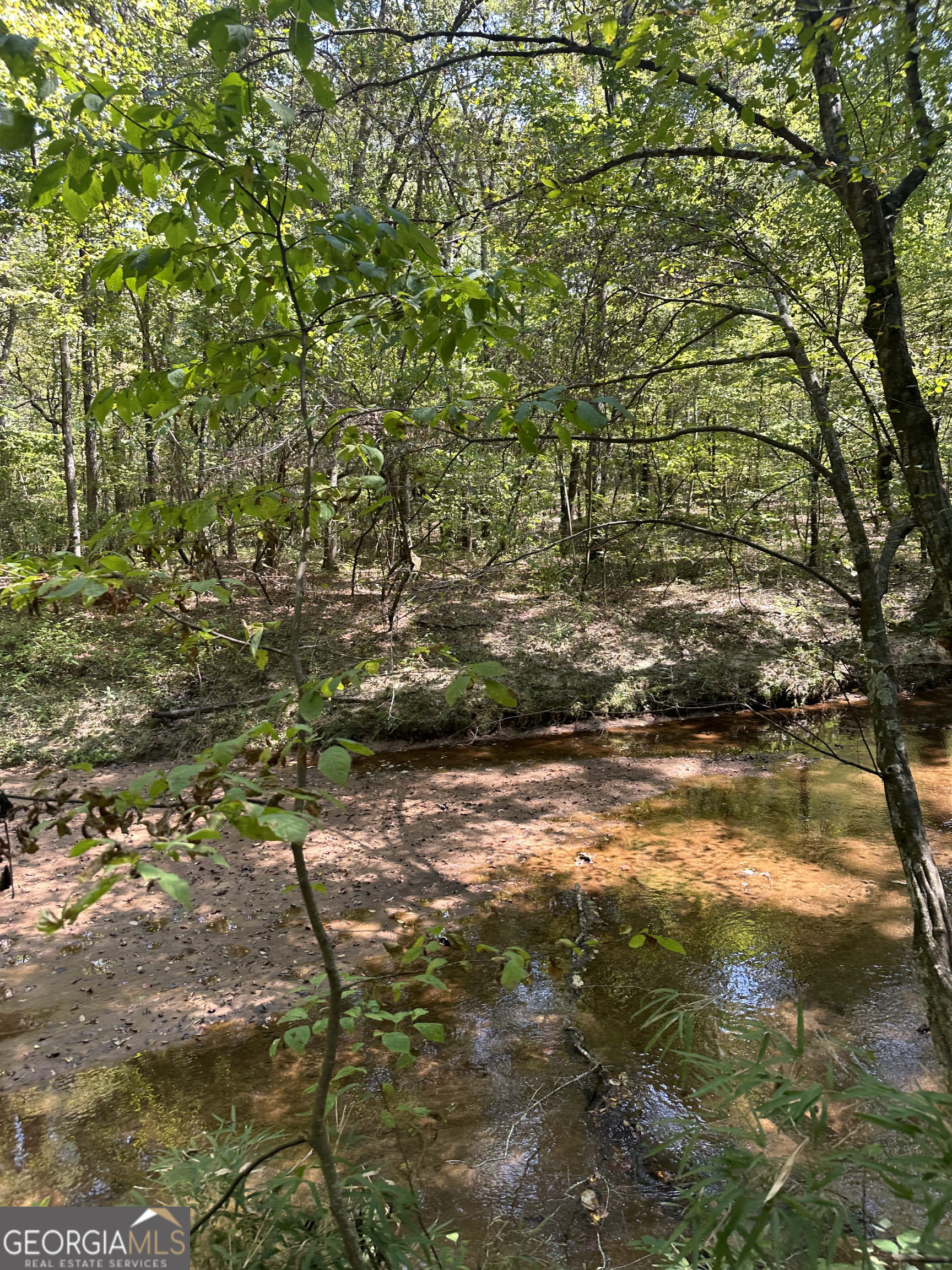 46 Creek Ridge Winterville GA 30683